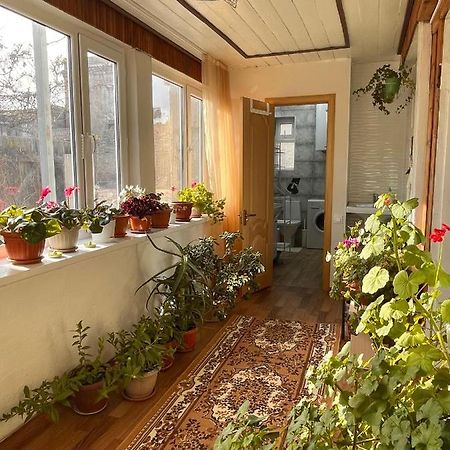 Gulnara Guest House 巴雷克奇 外观 照片