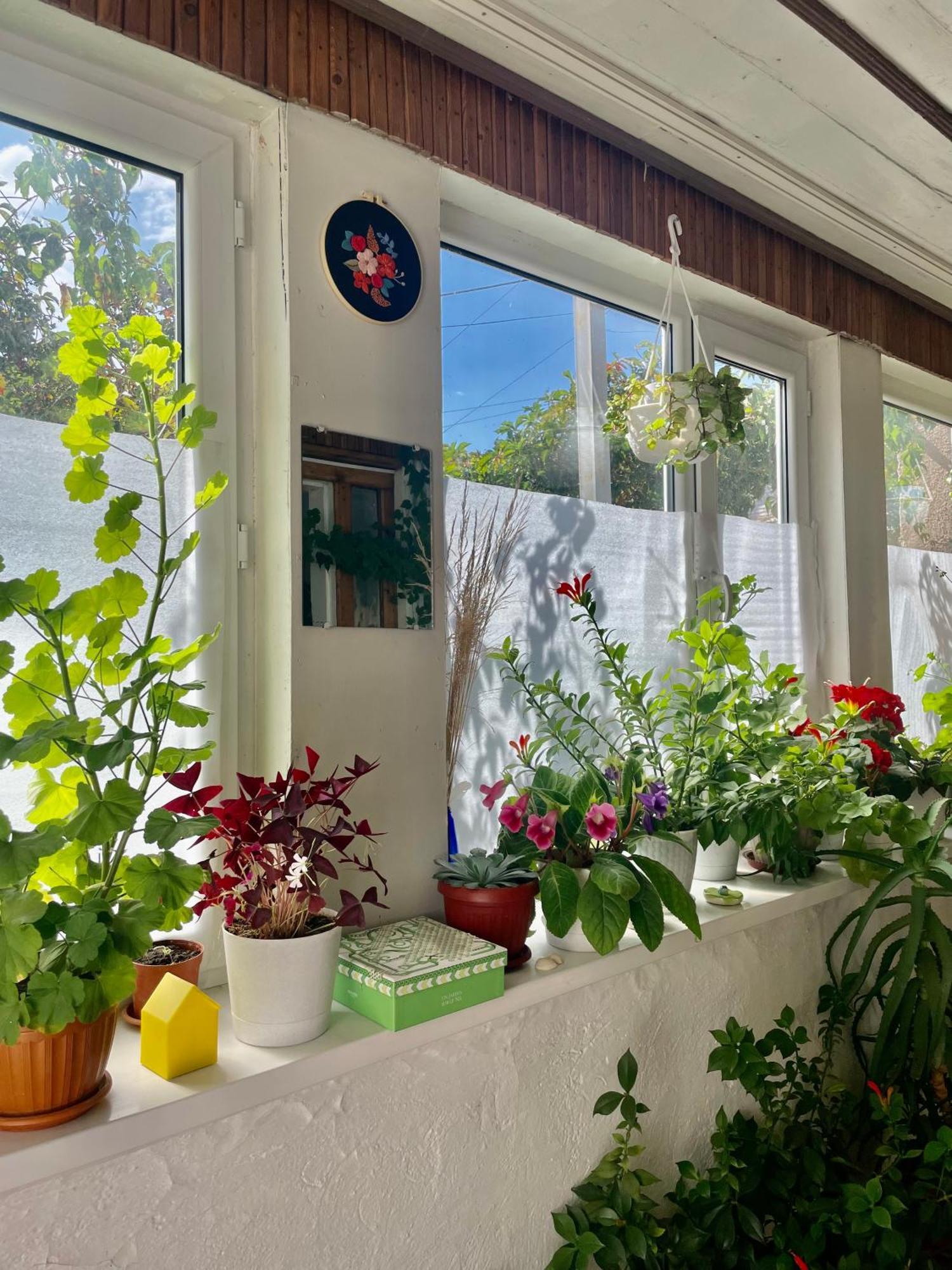 Gulnara Guest House 巴雷克奇 外观 照片