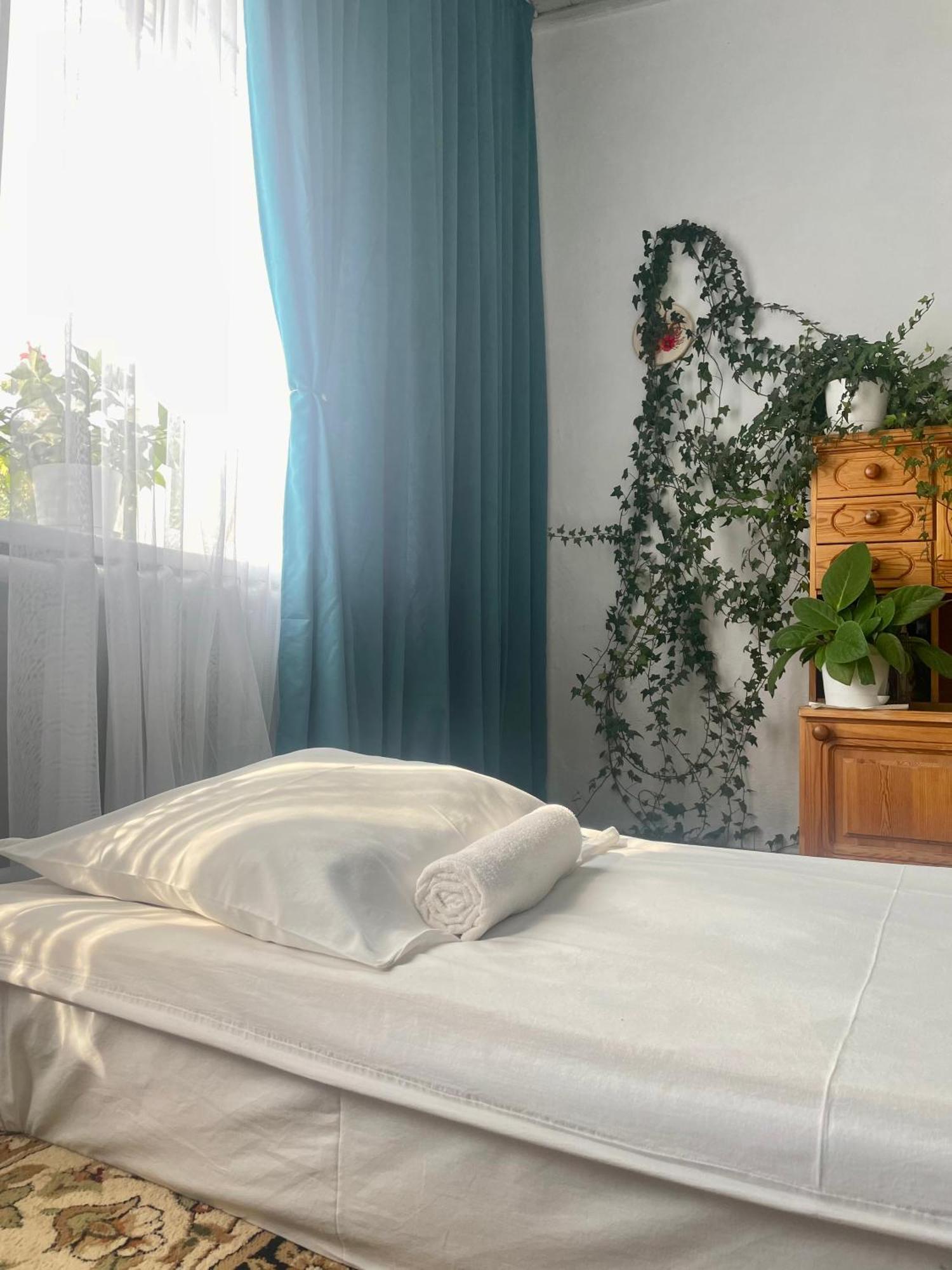 Gulnara Guest House 巴雷克奇 外观 照片